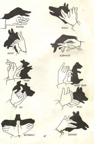 夫妻相配的三大属相,六大属相不合的婚配