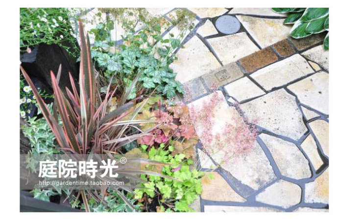 庭院石板石子路设计,100种庭院小路铺装效果图