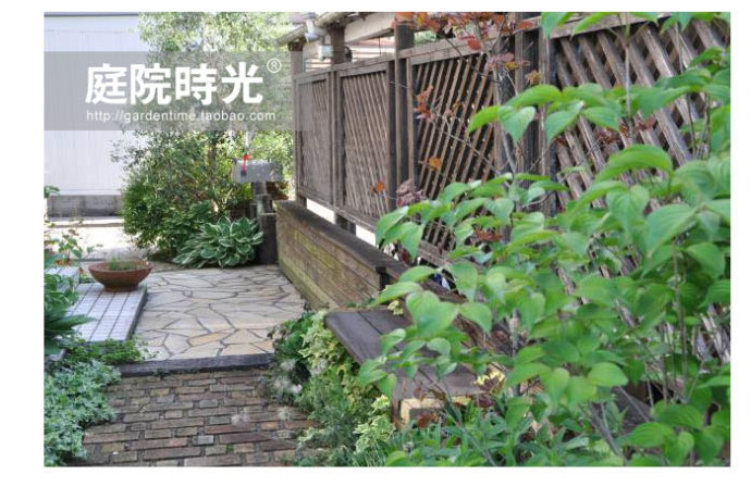 庭院石板石子路设计,100种庭院小路铺装效果图