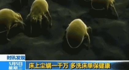 睡衣床单该多久洗一次,睡衣床单该多久洗一次比较好