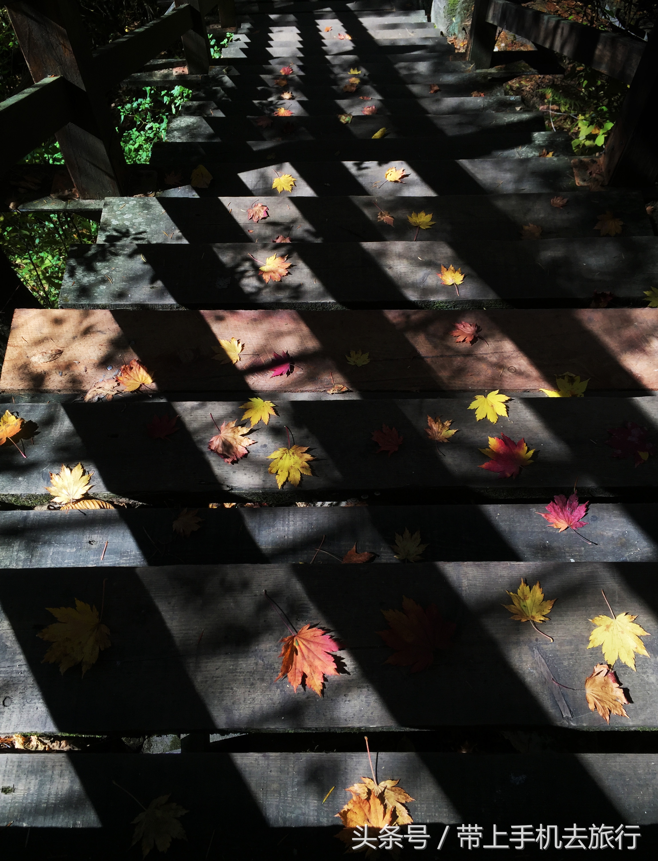 手机拍照片清晰技巧,手机相机夜间怎么能拍出清晰照片