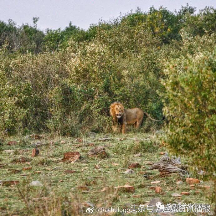 二十岁的运城平陆姑娘,山西运城女孩怎样