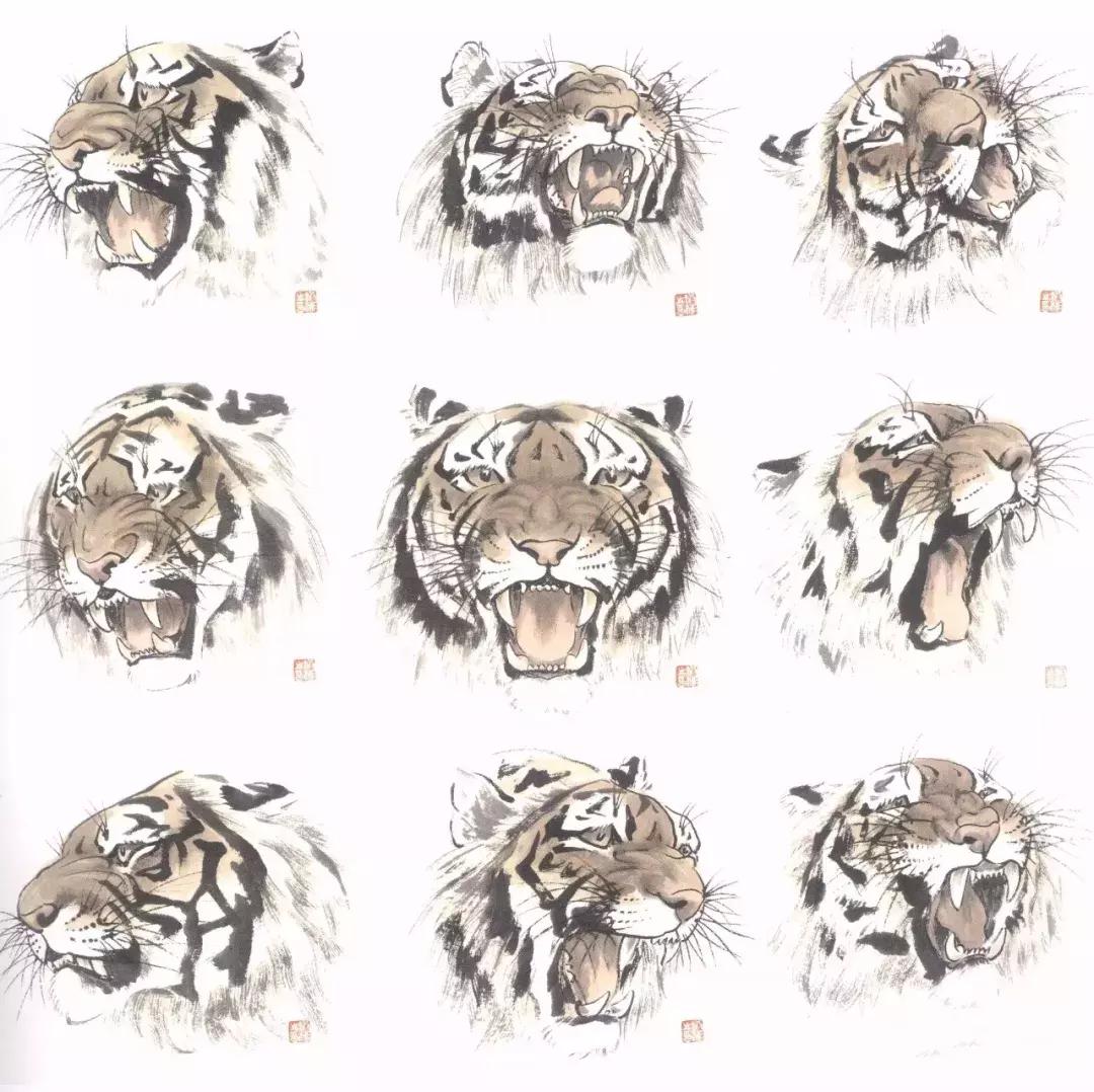 怎样画虎步骤视频,如何画写意老虎