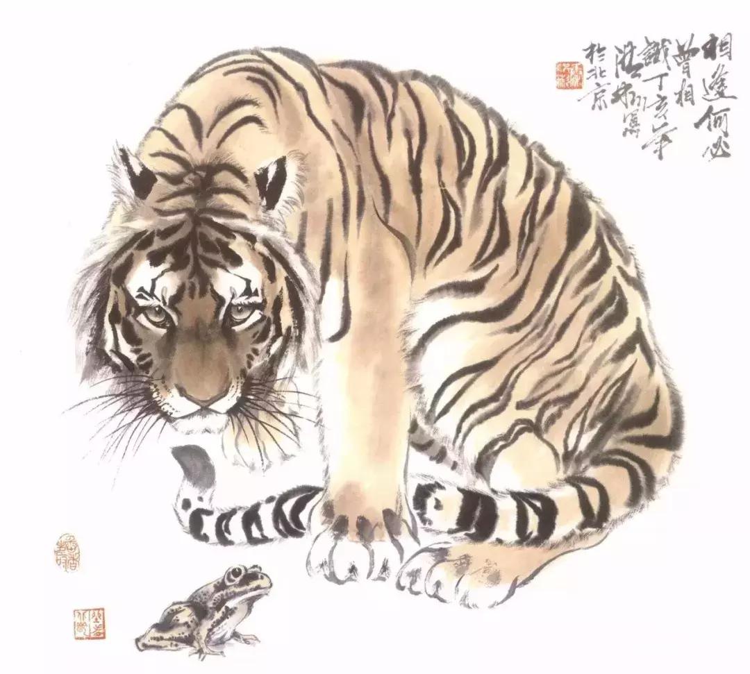 怎样画虎步骤视频,如何画写意老虎