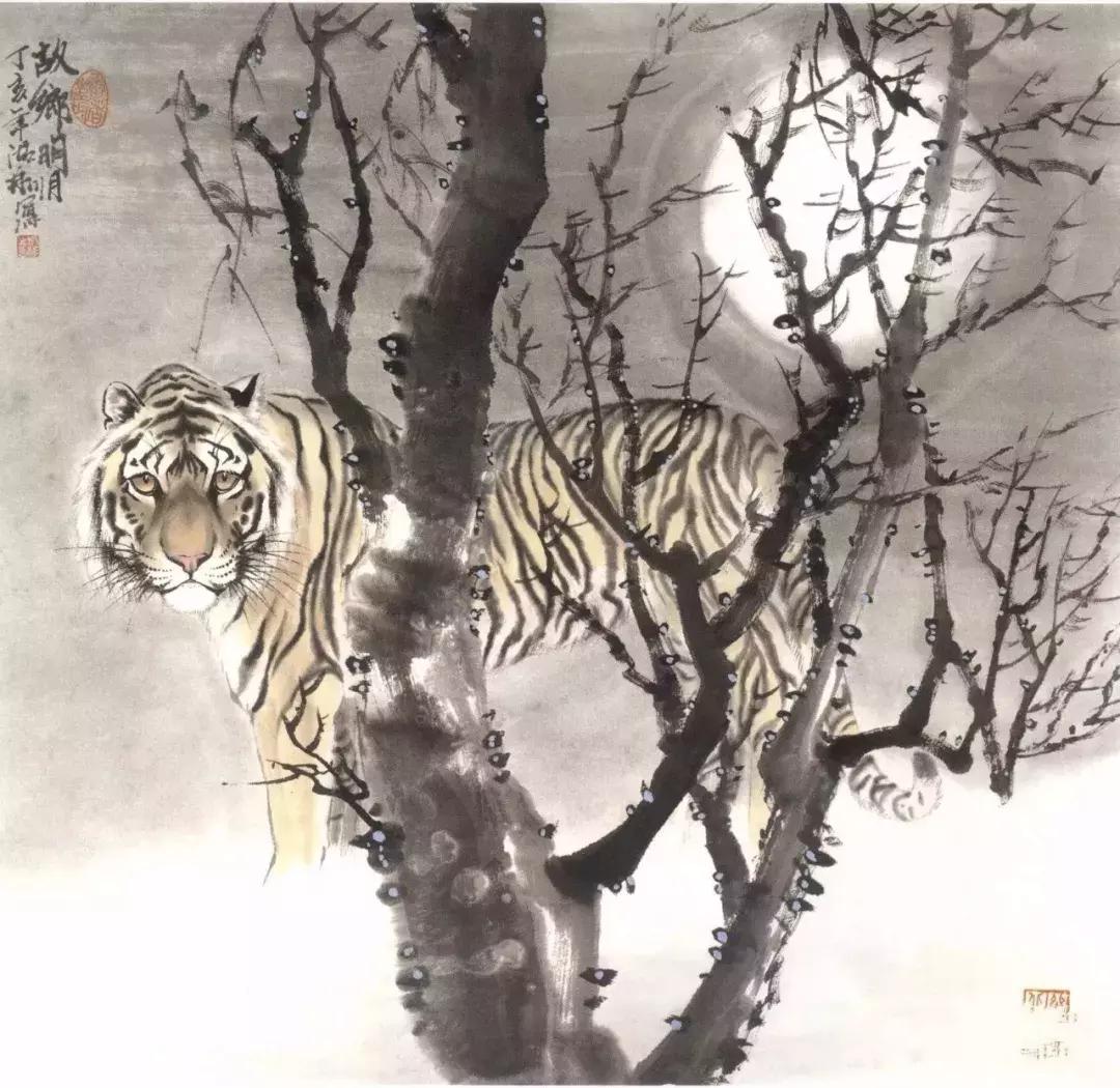 怎样画虎步骤视频,如何画写意老虎