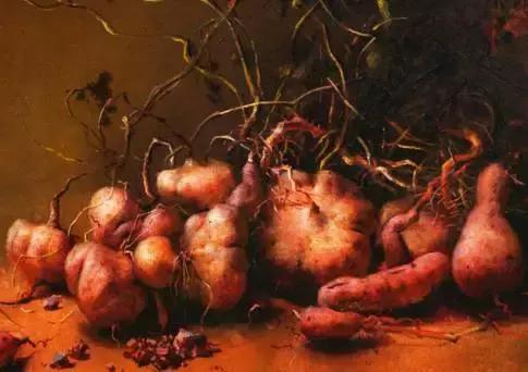 地瓜榕附石盆景造型,地瓜盆景制作过程视频