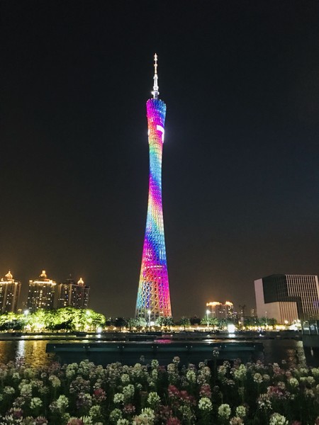 八月,岭南一人行广州-顺德-深圳