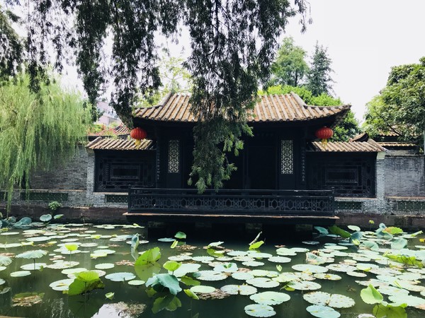 八月,岭南一人行广州-顺德-深圳