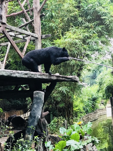 八月,岭南一人行广州-顺德-深圳