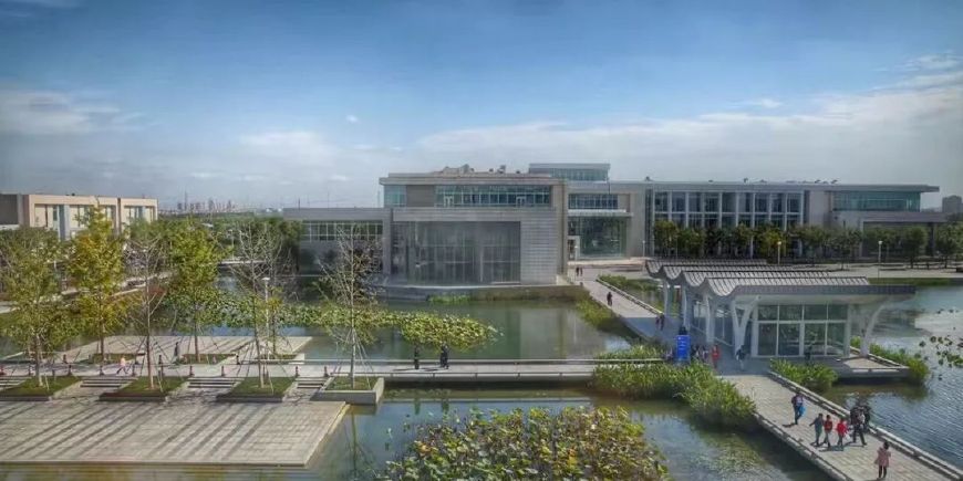 “土”“洋”结合：宁诺、西浦等中外合作大学为何受欢迎？