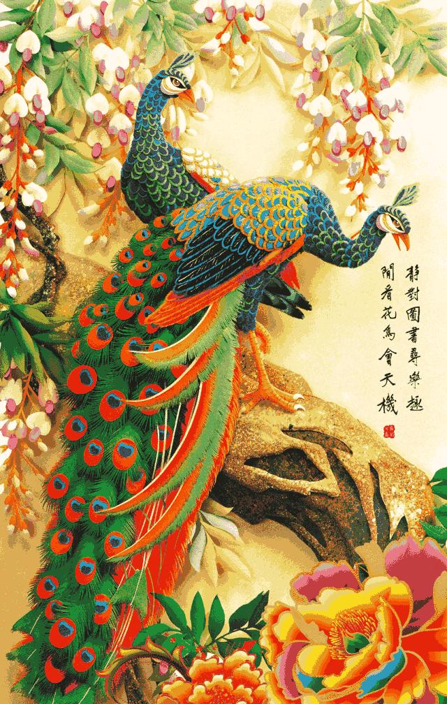 会动的漂亮图片,会动的图片十张