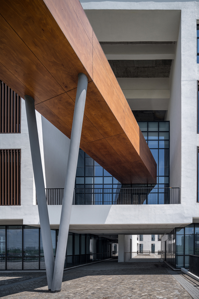 「设计」：安徽大学美术楼｜同济大学建筑设计研究院