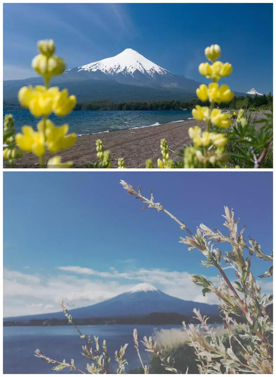 杭州有一个法国城,杭州真是一个神奇的国度