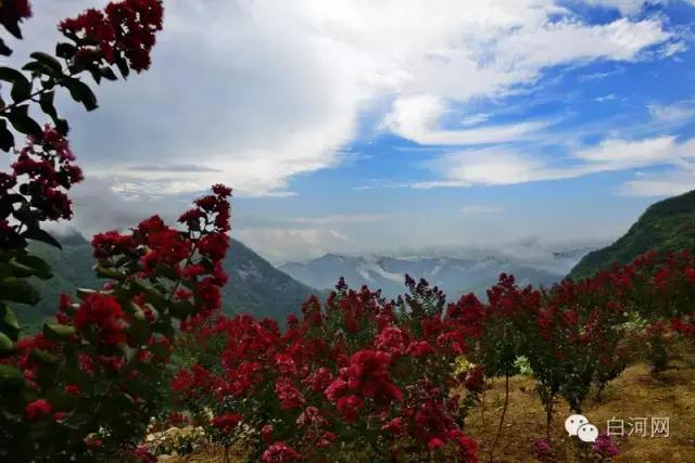 浠撲笂鏂囨梾灏忛晣,浠撳墠椋庢儏灏忛晣
