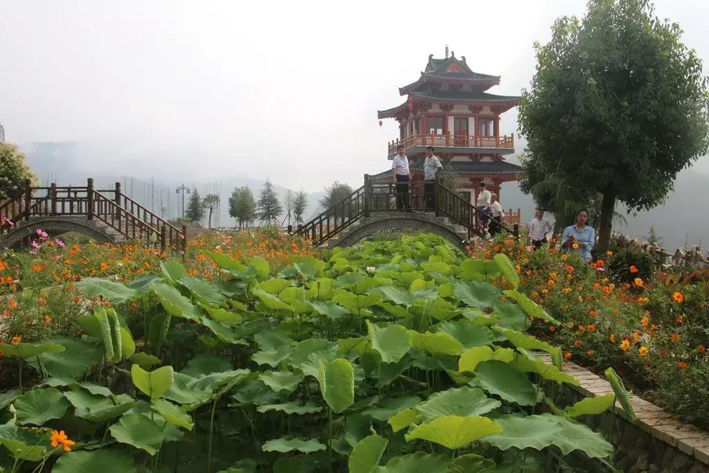 浠撲笂鏂囨梾灏忛晣,浠撳墠椋庢儏灏忛晣