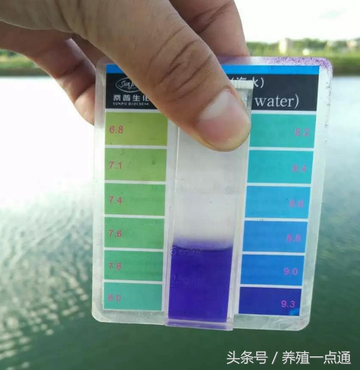 南美白对虾苗ph低怎么办,南美白对虾放苗水的ph值多少合适