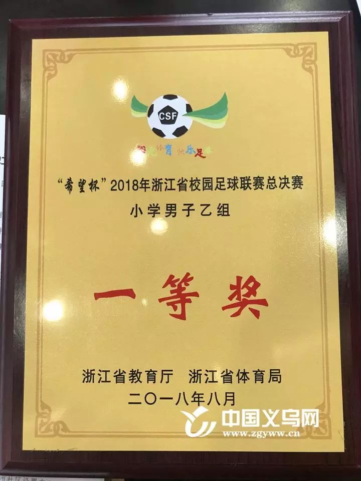 义乌有几个全省冠军,义乌冠军团队