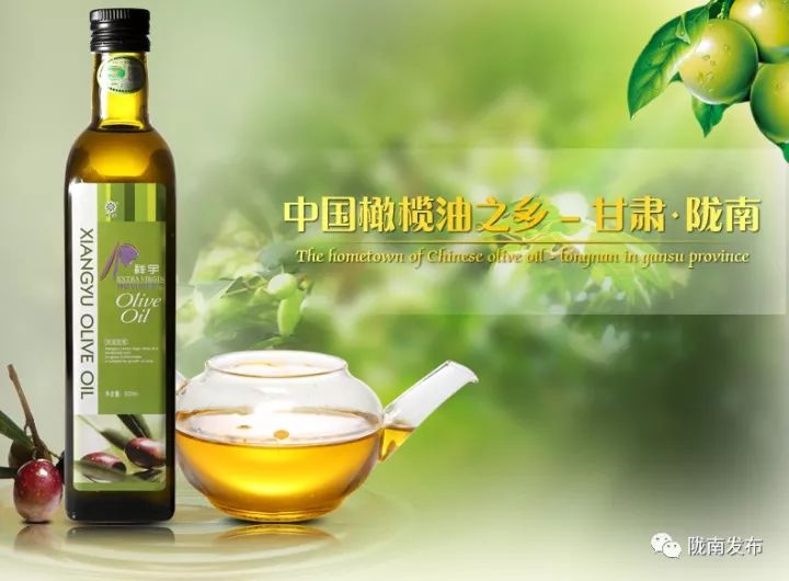 今生广种橄榄树,来世还做陇南人!