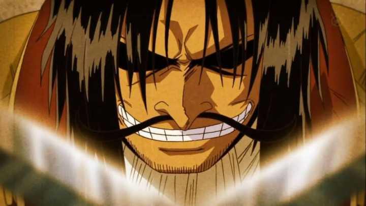 海贼王d的真正含义,海贼王d之一族的秘密