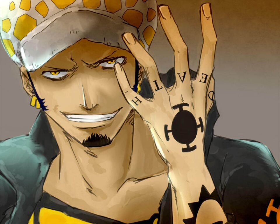 海贼王d的真正含义,海贼王d之一族的秘密