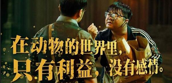 4s店装饰怎么避免坑,揭秘4s店汽车