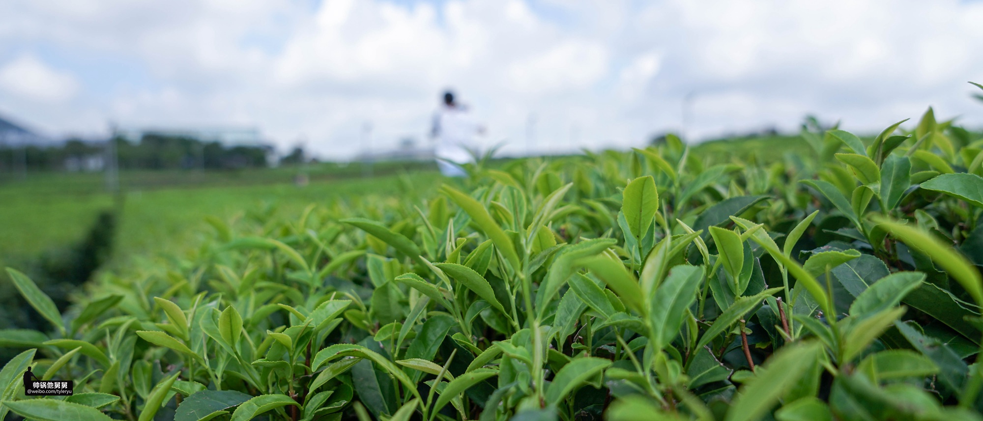 你想要的济州岛亲子游景点可能都在这一篇跨越2年的济州岛游记3