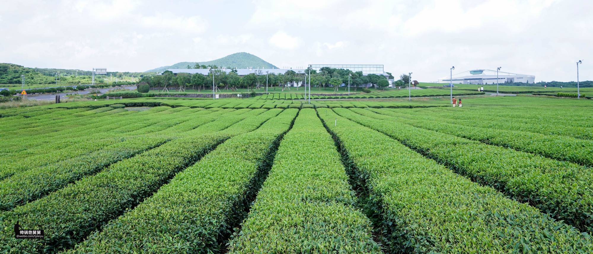 你想要的济州岛亲子游景点可能都在这一篇跨越2年的济州岛游记3