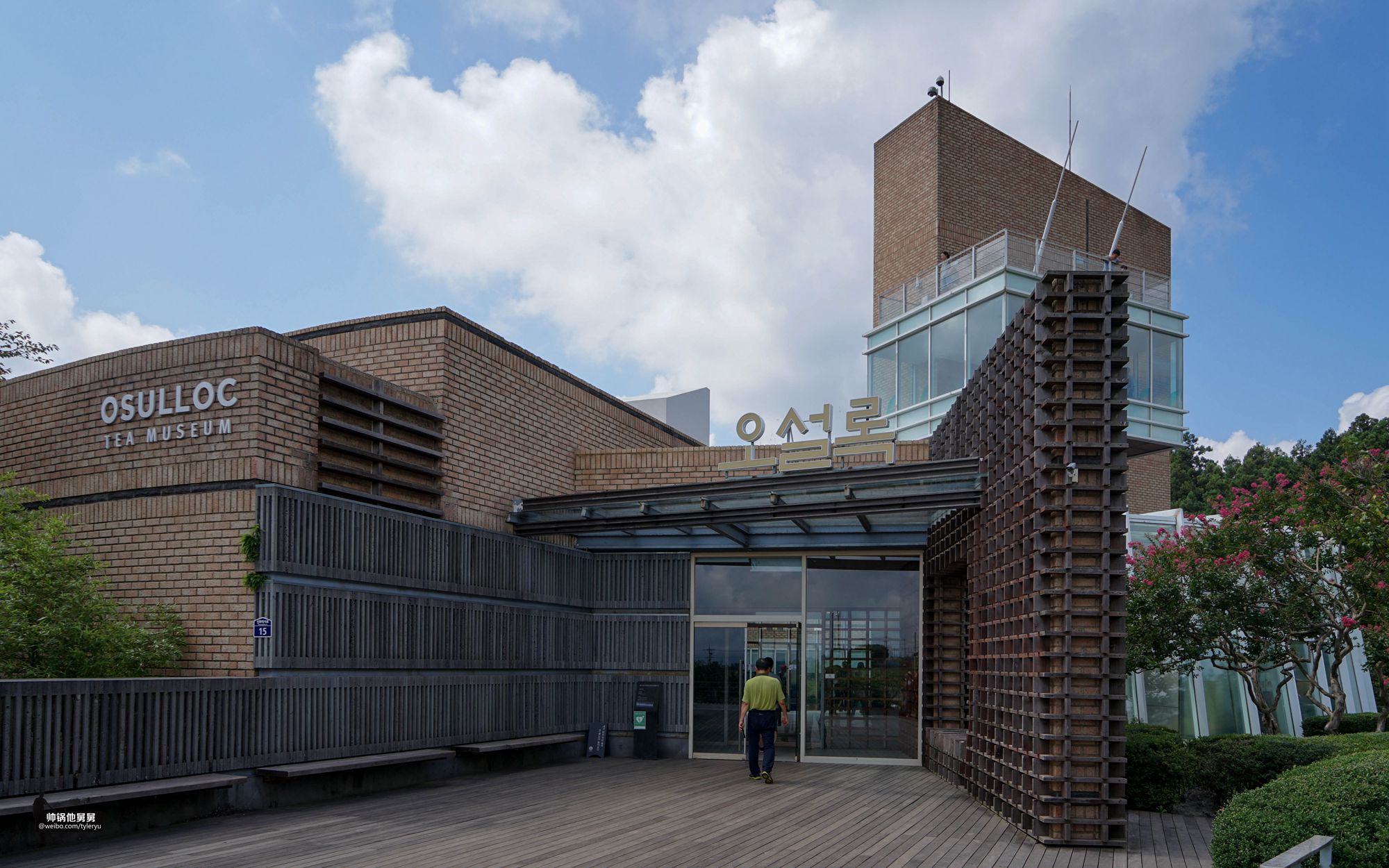 你想要的济州岛亲子游景点可能都在这一篇跨越2年的济州岛游记3