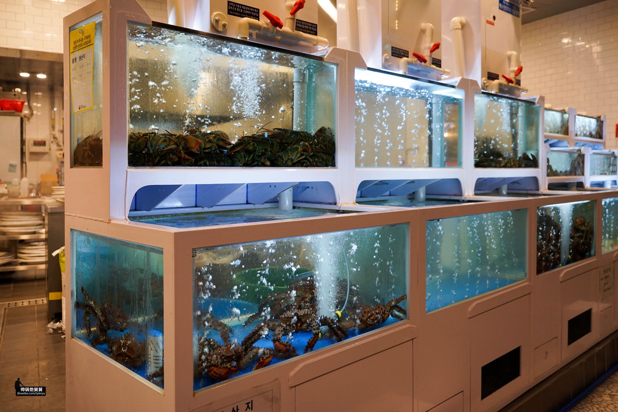 你想要的济州岛亲子游景点可能都在这一篇跨越2年的济州岛游记3