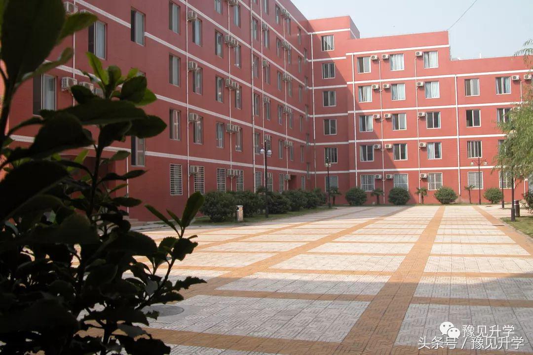 郑州外国语高中,郑州外国语学校国际班