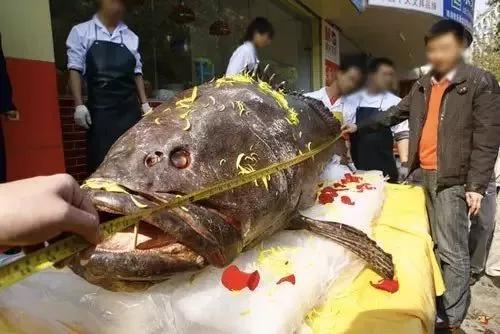 各个地方的美食pk,广州和珠海的美食哪个更好吃