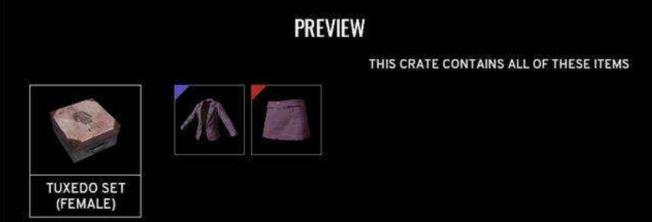 绝地求生十大稀有套装,绝地求生套装一览表