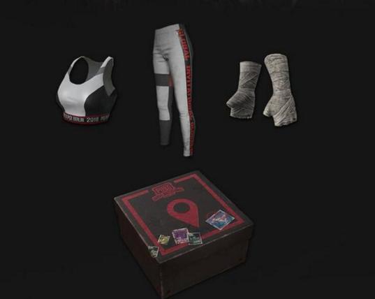 绝地求生十大稀有套装,绝地求生套装一览表