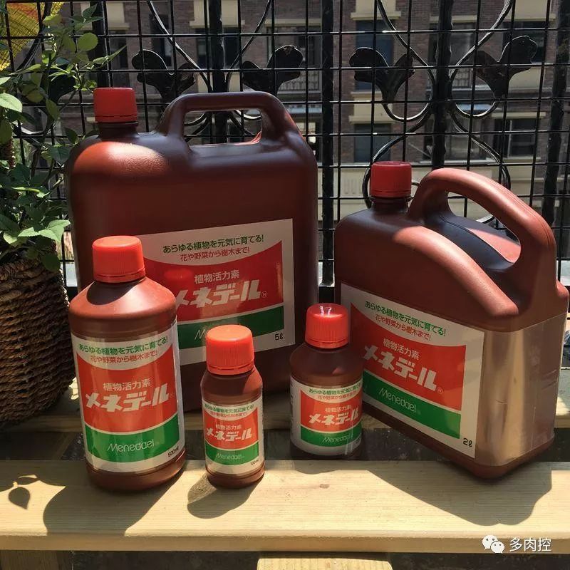 如何养好多多肉,怎么才能养好多肉盆栽