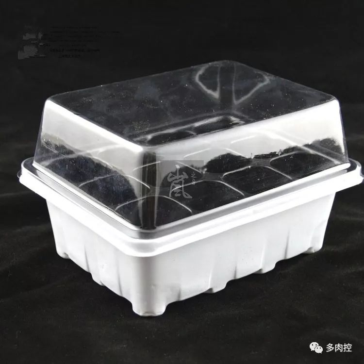 如何养好多多肉,怎么才能养好多肉盆栽