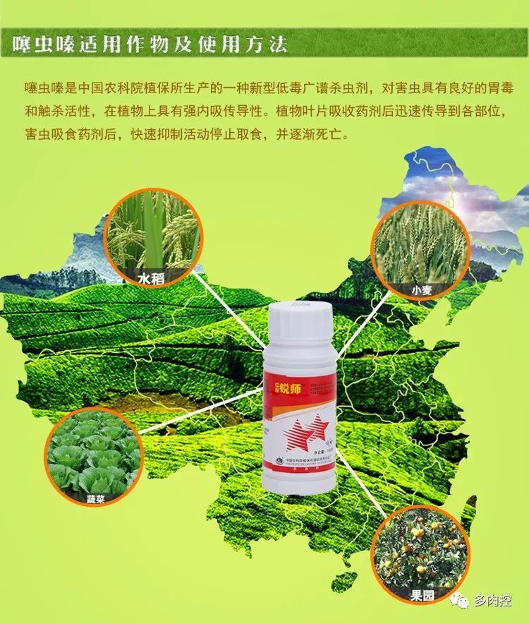 如何养好多多肉,怎么才能养好多肉盆栽