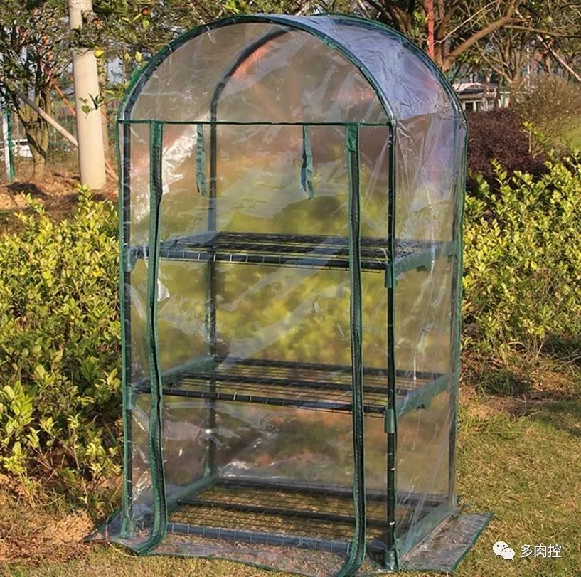 如何养好多多肉,怎么才能养好多肉盆栽