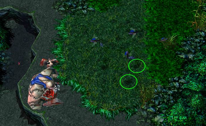 dota究竟是什么,dota十大隐藏英雄