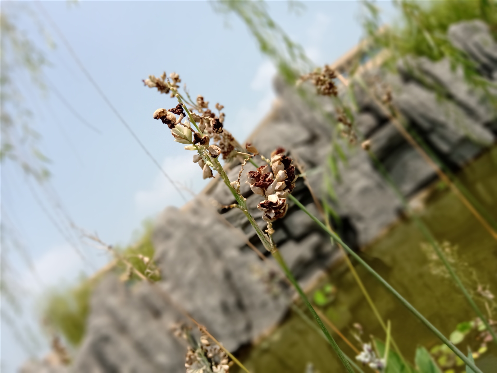 诺基亚x5手机性价比,诺基亚x5究竟怎么样