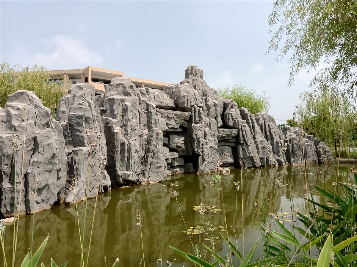 诺基亚x5手机性价比,诺基亚x5究竟怎么样