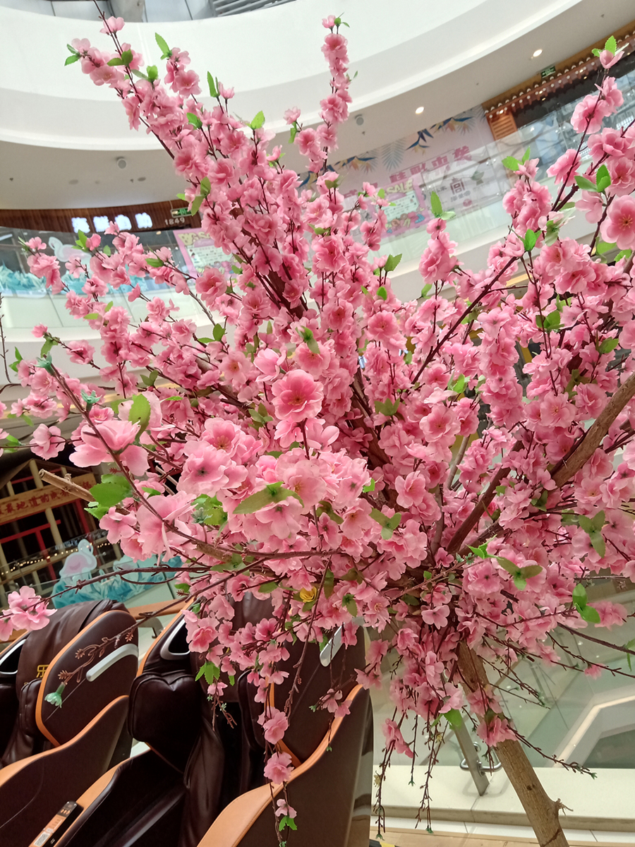 诺基亚x5手机性价比,诺基亚x5究竟怎么样