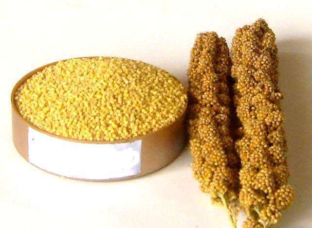 五谷丰登究竟有哪五谷,五谷丰登中的五谷一般指哪