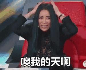 lvcoach双肩包,lvcoach