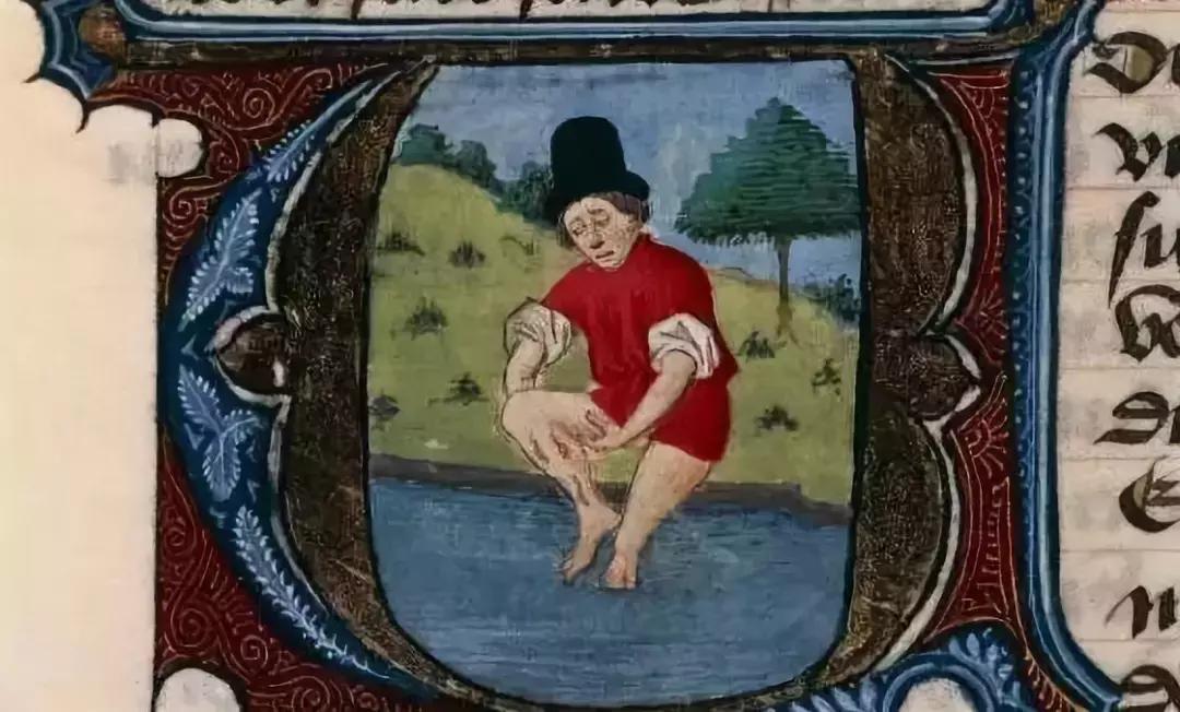 蚊子吸血动物,和蚊子一样吸血的动物