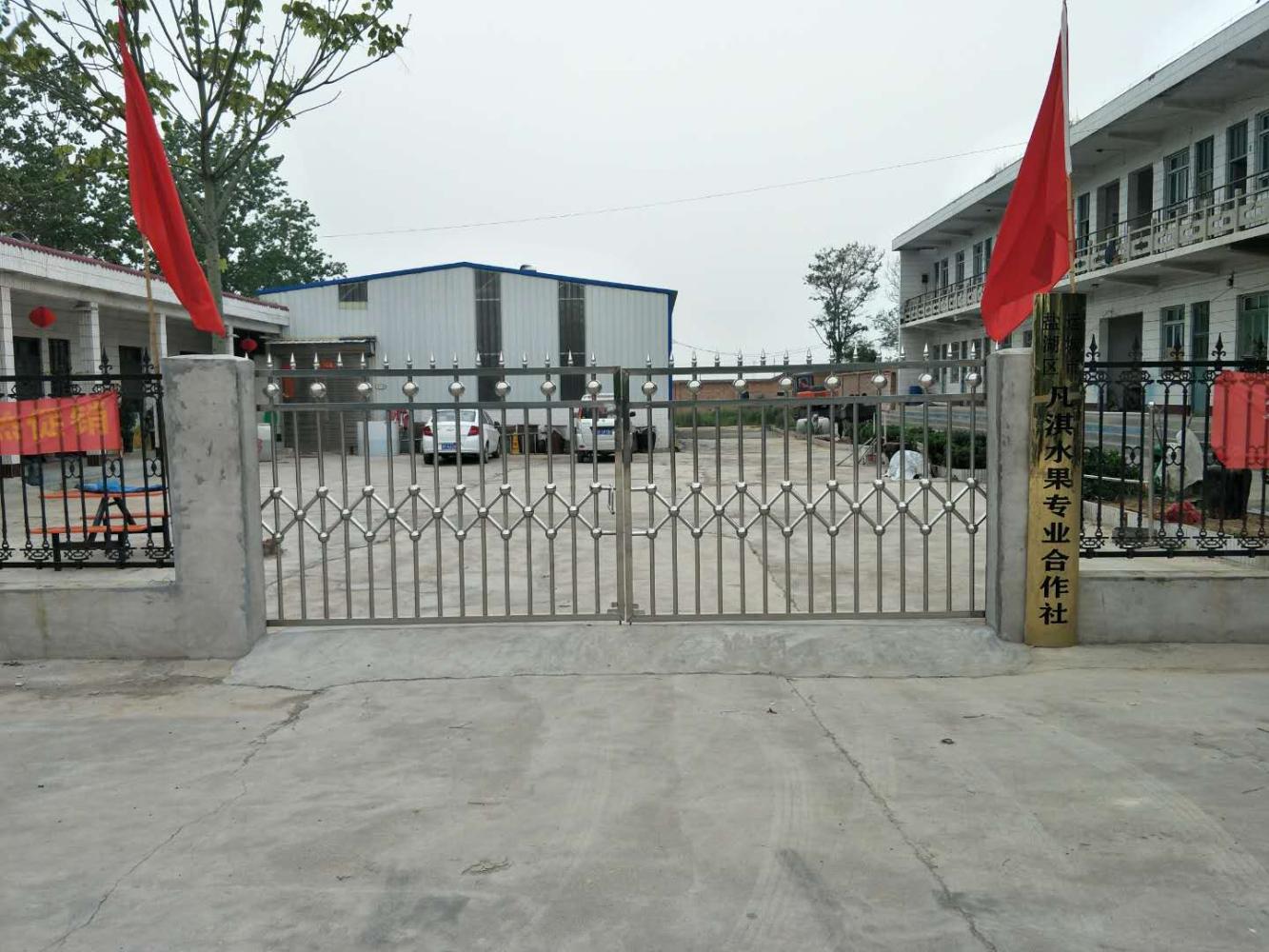 山西运城盐湖区凡淇专业合作社：小柿子作出大产业