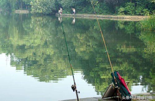 路亚翘嘴手法与假饵泳姿,全泳层浮游矶钓可以钓翘嘴吗