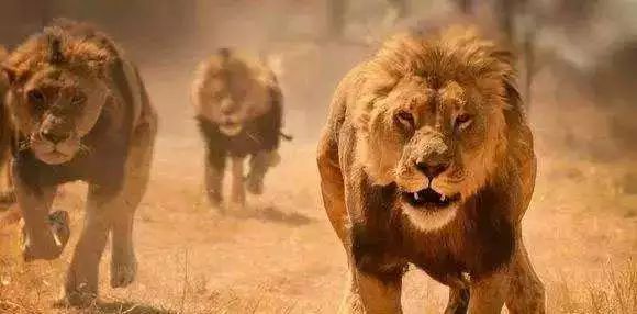 不愧是岛国深夜剧，把女性的欲望拍的这么露骨