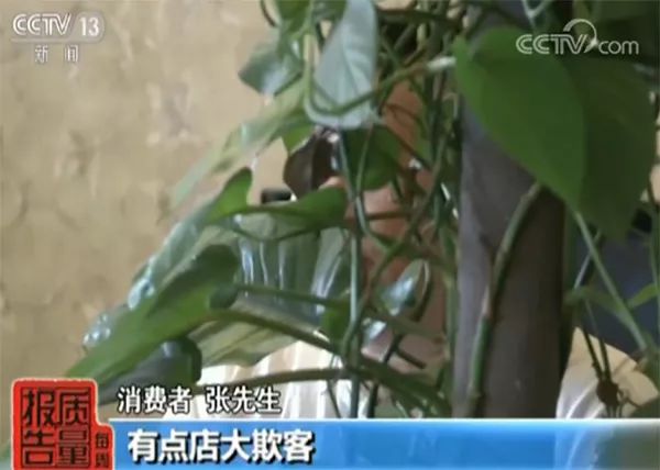 去哪儿网订房可以免费取消吗,别人用自己的手机号去哪儿网订票