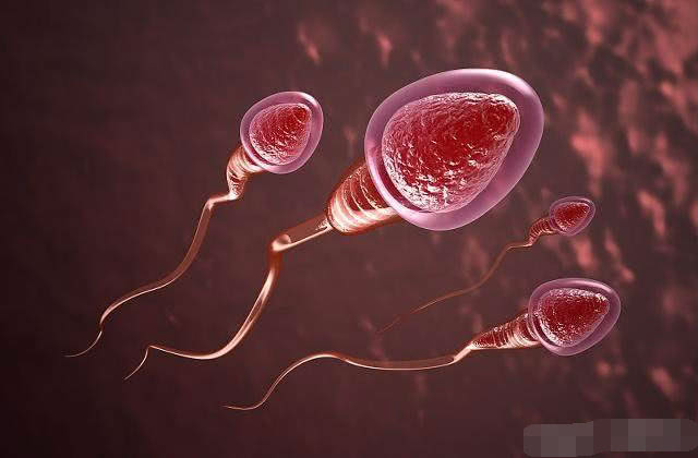 死去的小蝌蚪去了哪里,那些受孕失败的小蝌蚪都去哪儿了