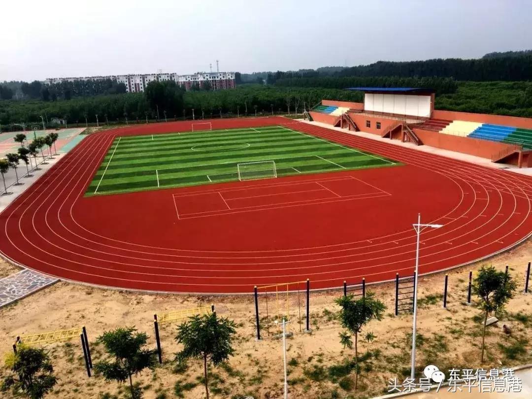 东平镇中心小学2019,东平县城街道中心小学